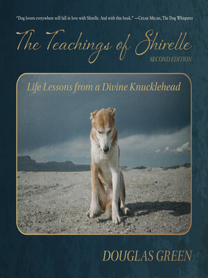 cover image of The Teachings of Shirelle